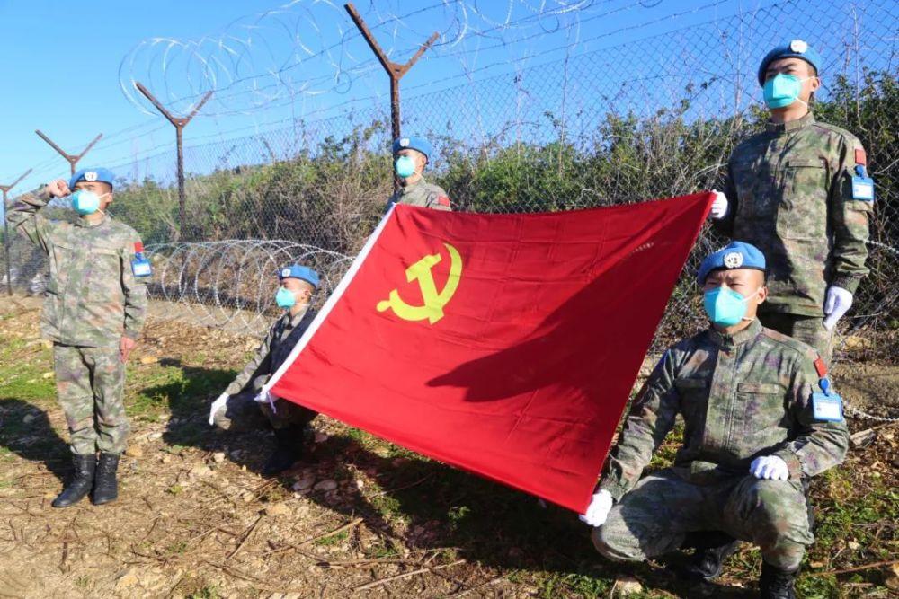 奥日与黑暗森林