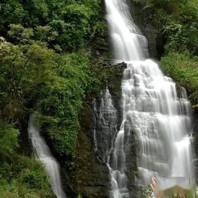 坦克大乱斗